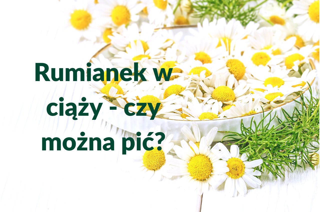 Rumianek w ciąży – pora-na-zdrowie.pl